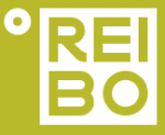Логотип сервисного центра Рэйбо